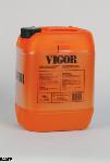 Vigor